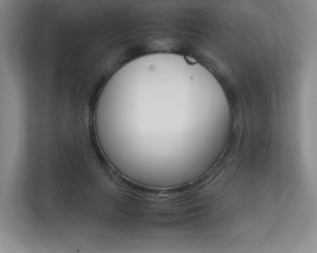 X0000112040647200908031043