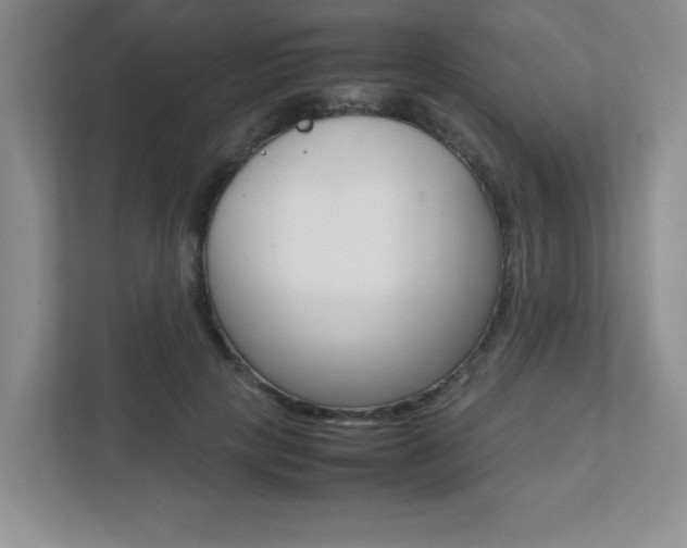 X0000112040649200908031043
