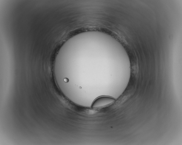 X0000112040662200908031043