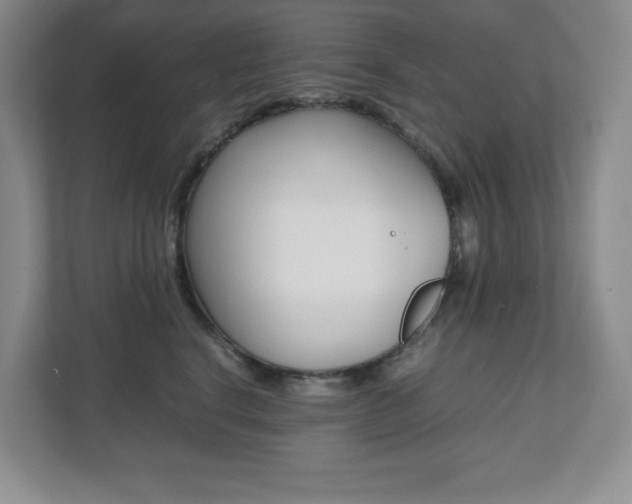 X0000112040664200908031043