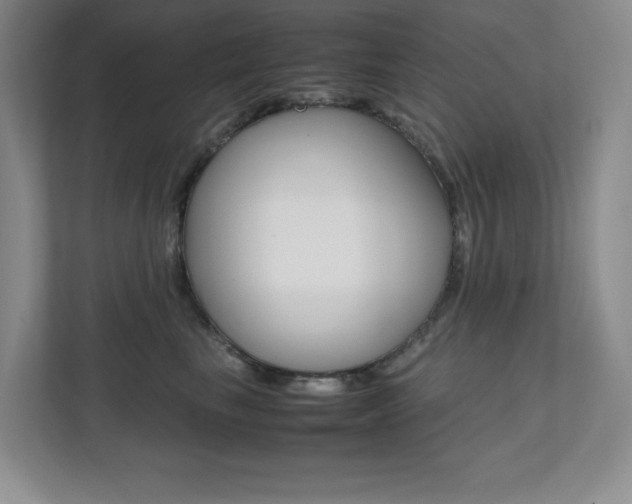 X0000112040665200908031043