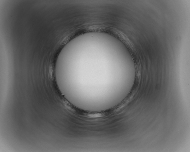 X0000112040669200908031043