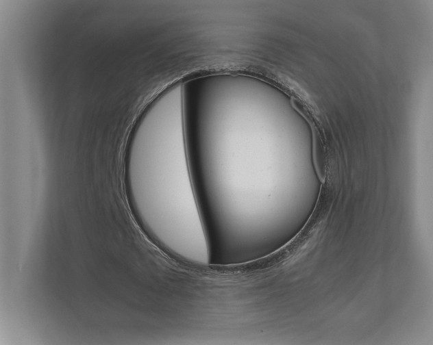X0000112040673200908031043