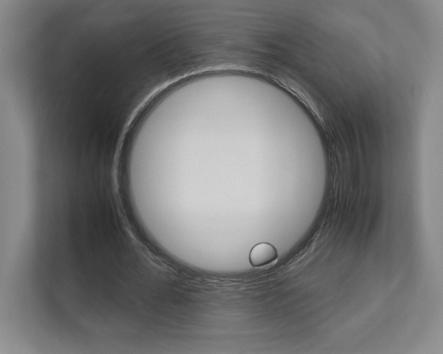 X0000112040676200908031043