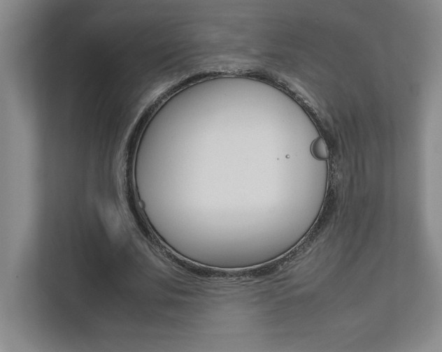 X0000112040679200908031043
