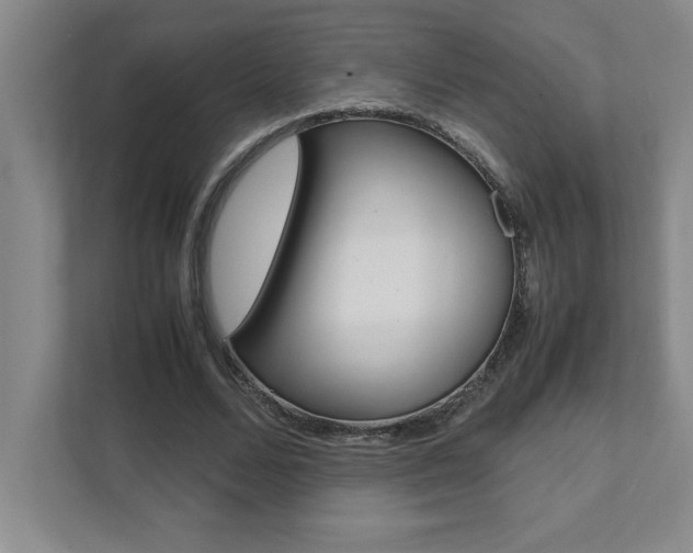 X0000112040680200908031043