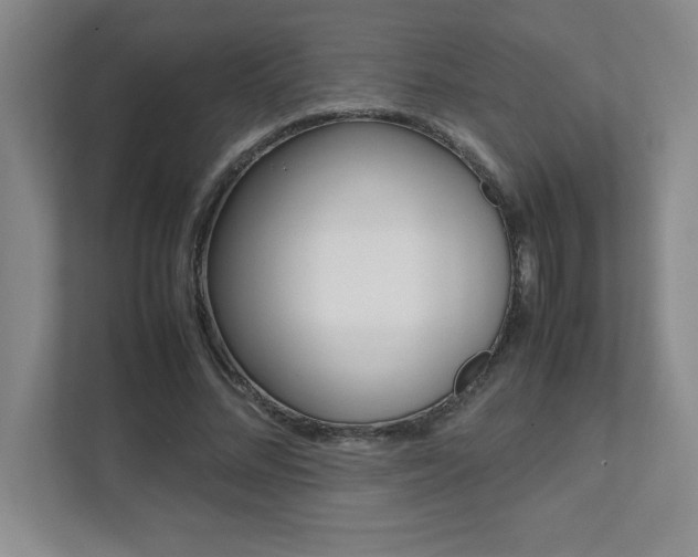 X0000112040684200908031042