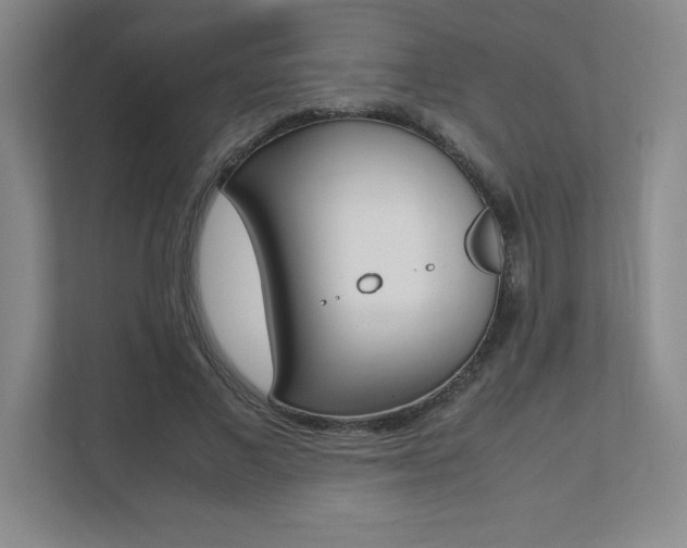 X0000112040685200908031042