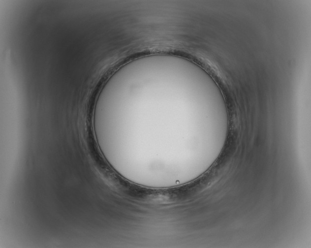 X0000112040687200908031042