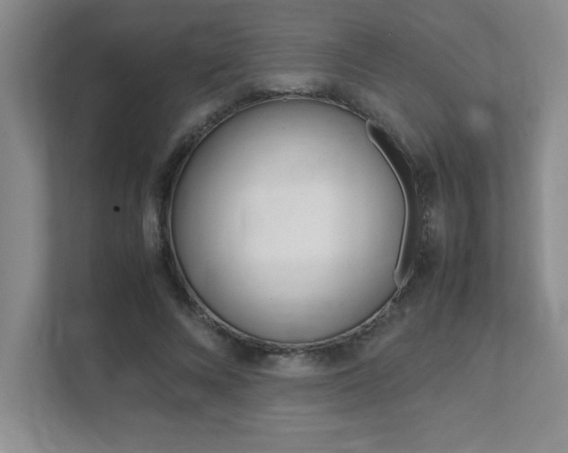 X0000112040688200908031042