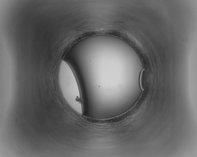 X0000112040689200908031042