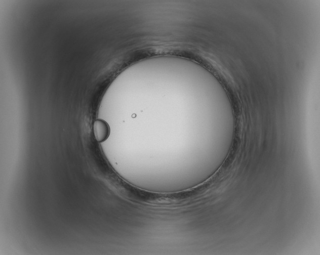 X0000112040691200908031042