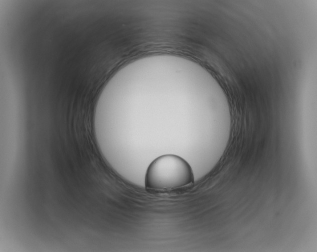 X0000112040700200908031042