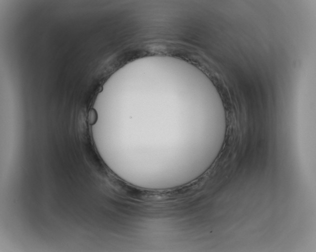 X0000112040702200908031042
