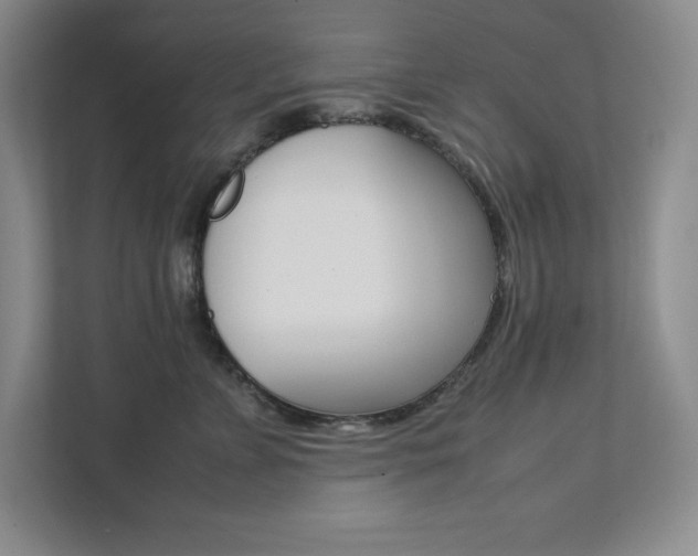 X0000112040715200908031042
