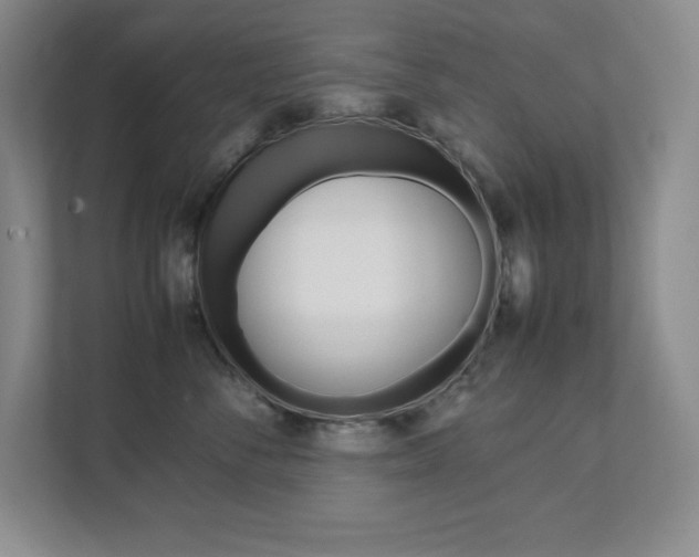X0000112040716200908031042