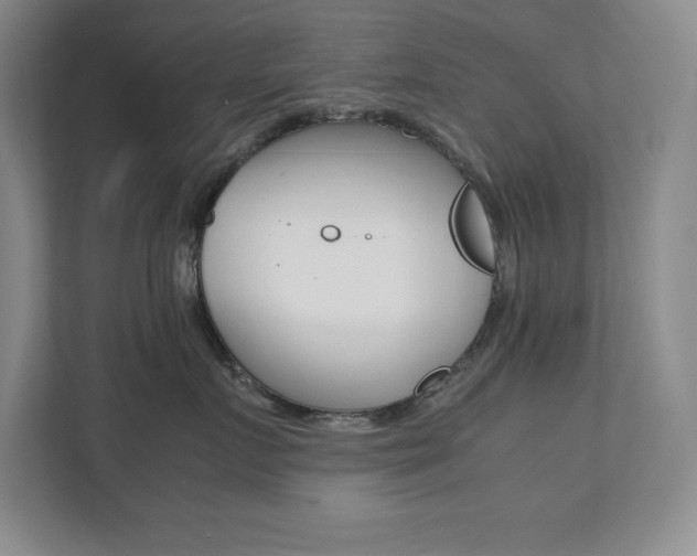 X0000112040719200908031042