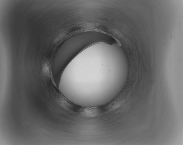 X0000112040720200908031042
