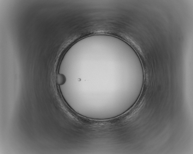 X0000112040721200908031041