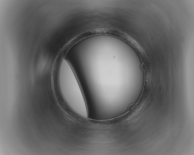 X0000112040722200908031041