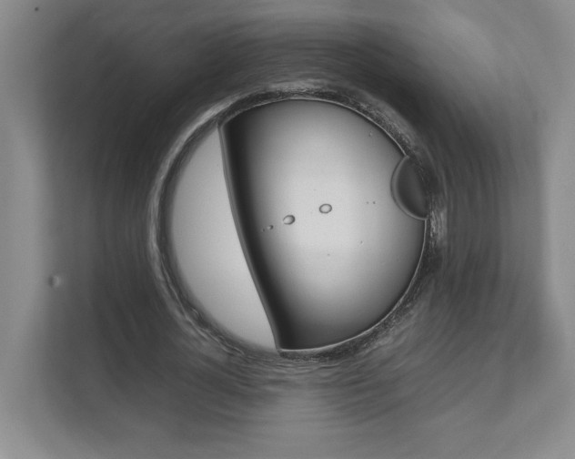 X0000112040724200908031041