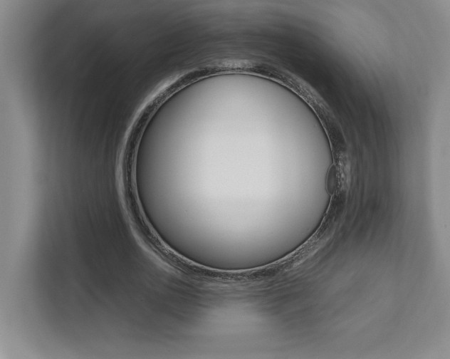 X0000112040726200908031041