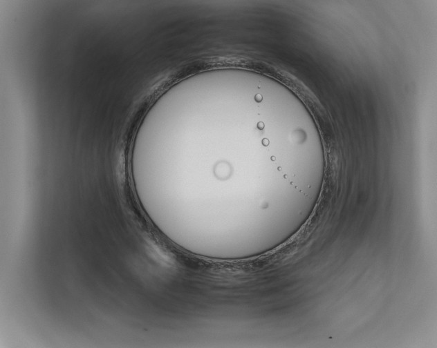 X0000112040729200908031041