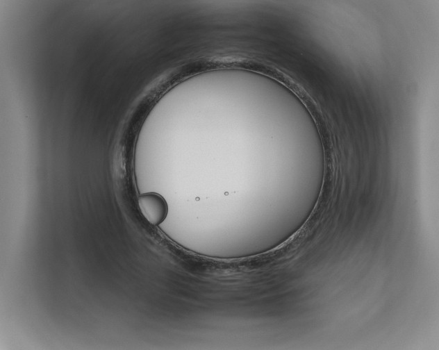 X0000112040731200908031042