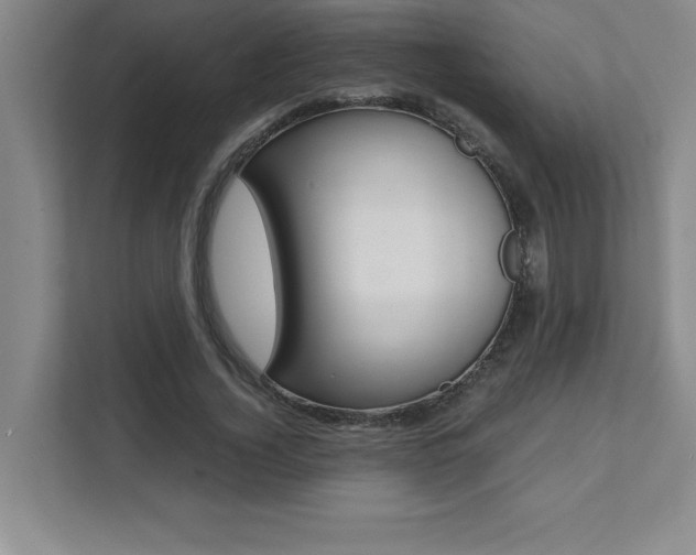 X0000112040732200908031042