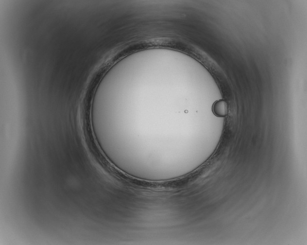 X0000112040734200908031042