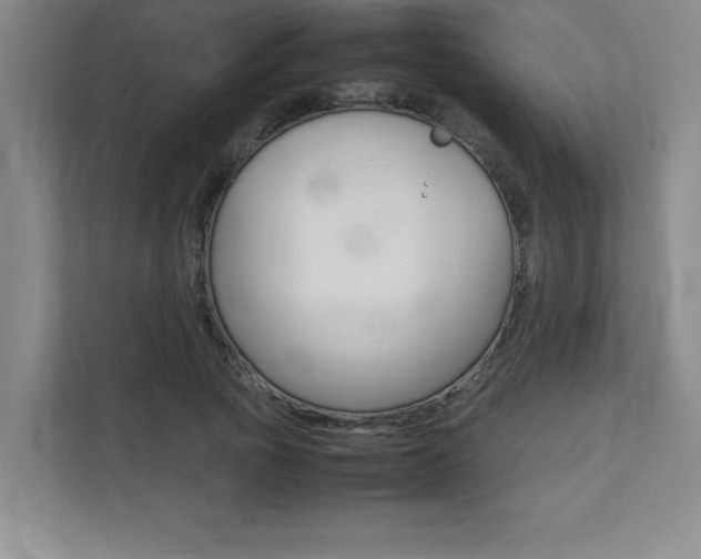 X0000112040737200908031042