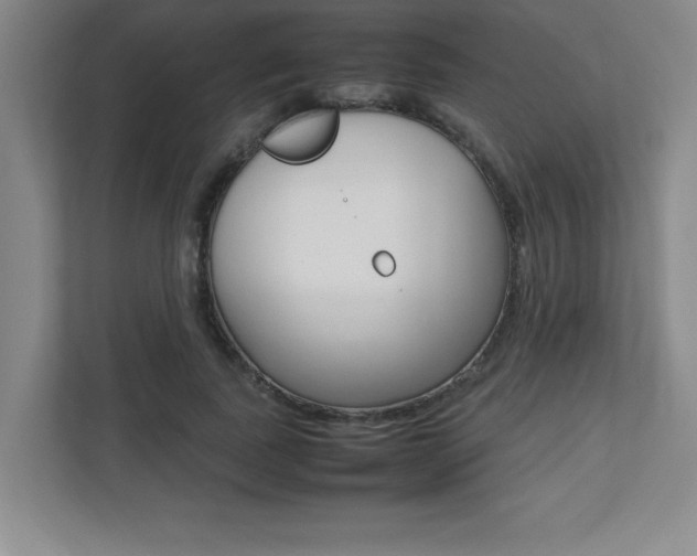 X0000112040739200908031042