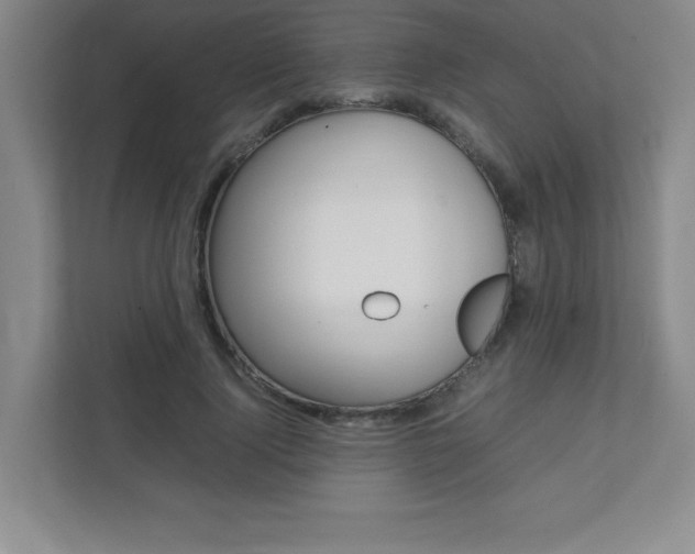 X0000112040740200908031042