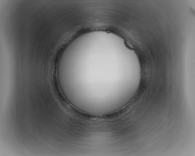 X0000112040742200908031042