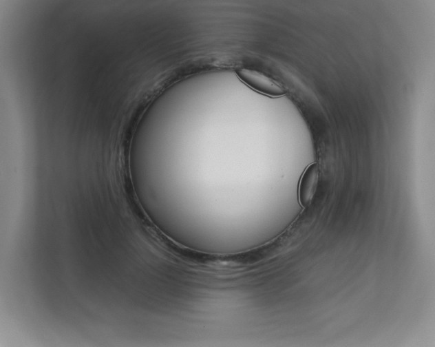 X0000112040748200908031042