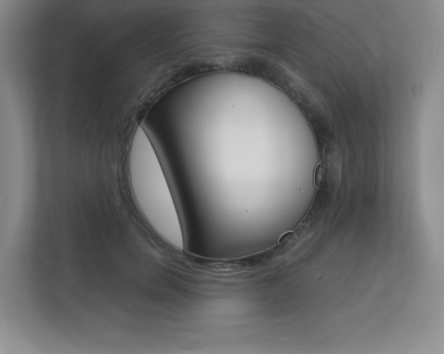X0000112040750200908031042