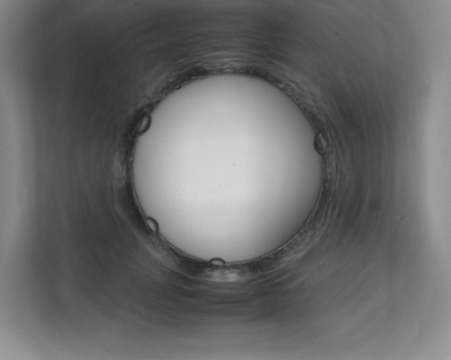 X0000112040751200908031042