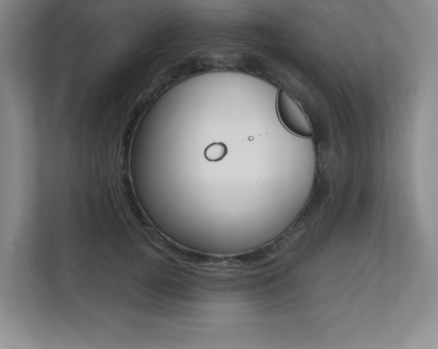 X0000112040752200908031042