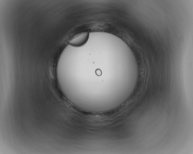 X0000112040755200908031042