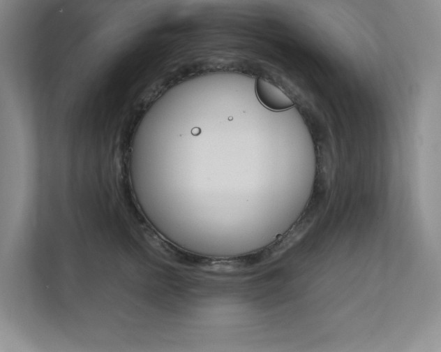 X0000112040758200908031042