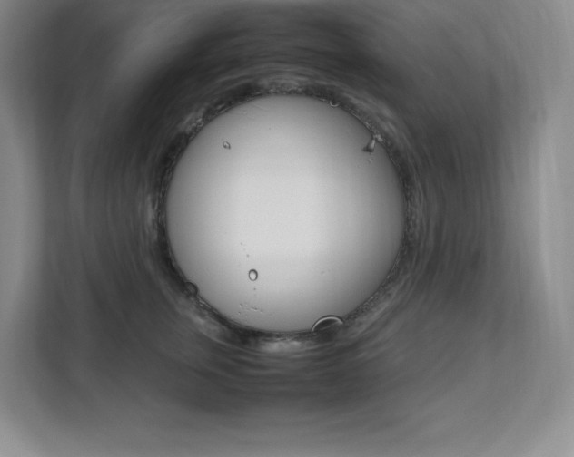 X0000112040759200908031042