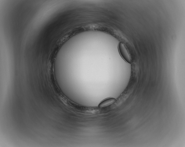 X0000112040760200908031042