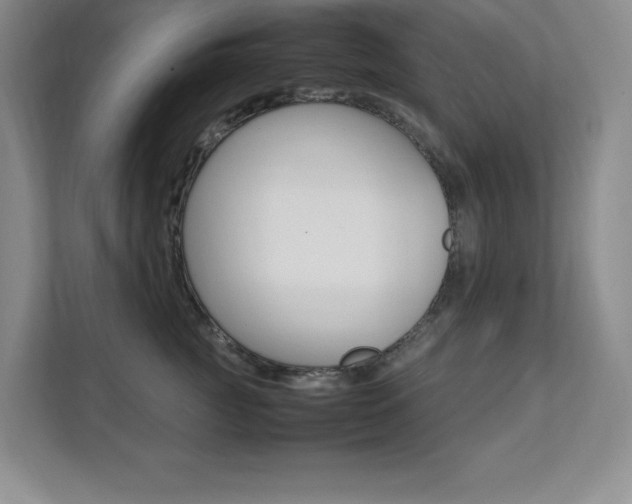 X0000112040761200908031042