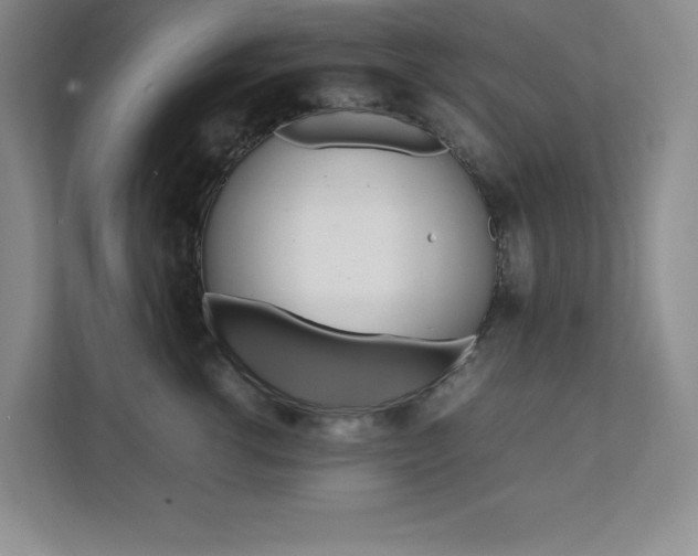 X0000112040762200908031042