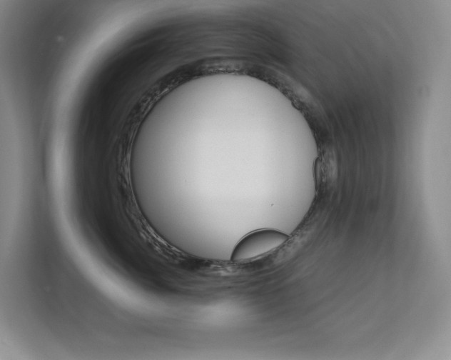 X0000112040764200908031042