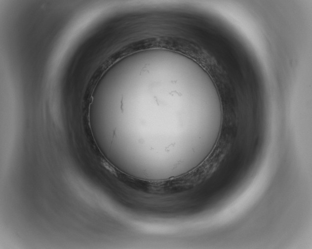 X0000112040766200908031042