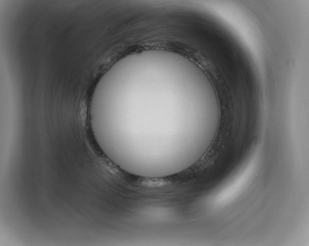 X0000112040767200908031042