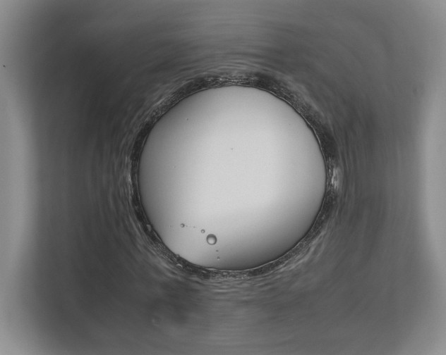 X0000112040771200908031041