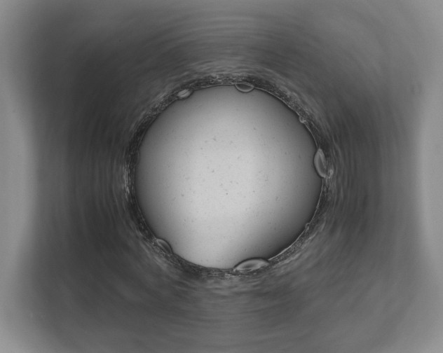 X0000112040772200908031041
