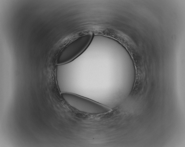 X0000112040773200908031041